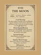 Major Arcana 101 | Witch-Coach Guide to Archetypes & Shadow Work